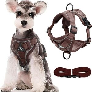 Easy Walk Dog Harness and Leash Set, Samll Dog Step in Vest Harness